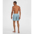 Southern Shirt Men's Lets Flamingle Swim Shorts front view