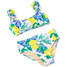 Shade Critters Girls' Citrus Cap Sleeve 2 Pc Set front view