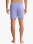 Fair Harbor Men's 7" Bayberry Trunks Light Blue Seersucker front view
