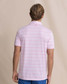 Southern Tide Men's Driver Wild Winds Stripe Polo in Sea Pink
