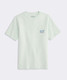Vineyard Vines Boys' Pirate Map Whale Short-Sleeve Pocket Tee in Aqua Glass front view