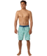 O'Neill Men's Hyperfreak Mysto Scallop Boardshorts Green back view