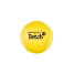 Waboba Water Bouncing Fetch Dog Ball