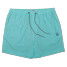 Party Pants Men's 5" Happy Hour Shorts Mint Green product shot