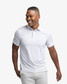 The Southern Tide Men's Coastal Breeze Meadowbrook Stripe Polo in Platinum Grey