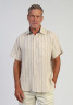 True Grit Hampton Doublecloth Cotton Stripe Shirt Tan Full front detail