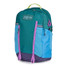 Jansport All Around 28L Backpack Emerald back view