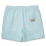 Party Pants Chapter Swim Shorts Aruba Blue back view