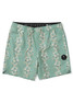 Vissla Voodoo Vines Volley Shorts Aloe Detail front view