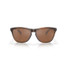 Oakley Men's Frogskins Sunglasses