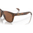 Oakley Men's Frogskins Sunglasses