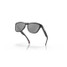 Oakley Men's Frogskins Polarized Sunglasses