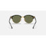 Ray-Ban Club Round Classic sunglasses in black with green lenses, back view