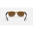 Ray-Ban New Wayfarer sunglasses in honey crystal and brown with polar lenses, back view