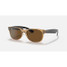 Ray-Ban New Wayfarer sunglasses in honey crystal frame with brown polarized lenses