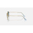 Ray-Ban Round Metal Sunglasses