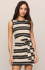 Z Supply Mattie Striped Mini Dress Ash Black front view