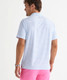 Vineyard Vines Men's Performance Air Tech Mesh Polo in White Cap/Jake Blue back view