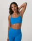 Vuori AllTheFeels Sports Bra Regatta Blue front view