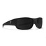 Blenders Lakeview Sunglasses Matte Black full frame