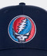 Vineyard Vines Grateful Dead Performance 5-Panel Hat Multi detail