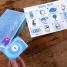 Big Potato Games The Chameleon Pictures Edition Game front box