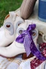 Victory Lap TCU Sideline Scarf Victory Lap TCU Sideline Scarf styled view