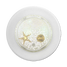 PopSockets Tidepool Electric Picks MagSafe PopGrip product shot