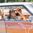Howler Brothers Texas Longhorns Feedstore Snapback lifestyle