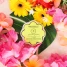 Spongellé Coconut Verbena Daisy Spongette