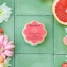 Spongellé Grapefruit Cassis Daisy Spongette