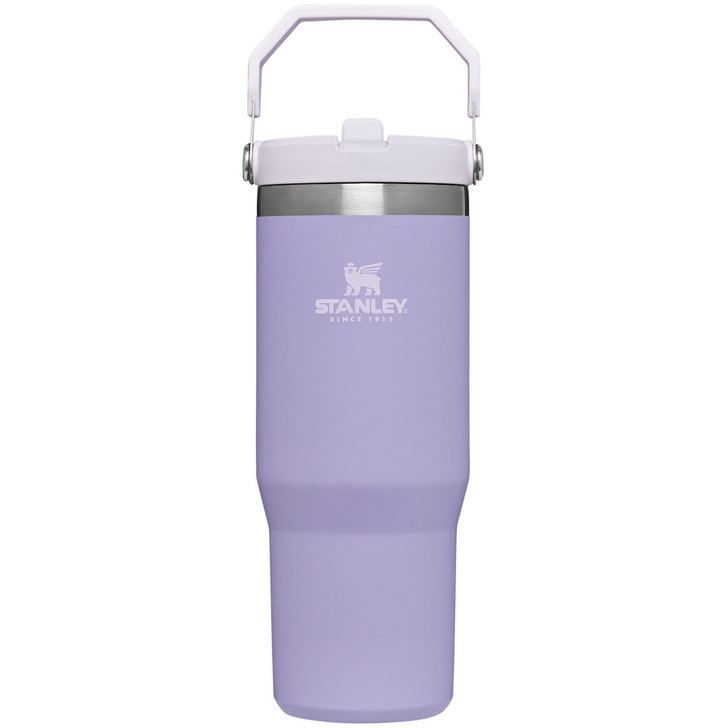 Stanley Purple 16oz Vacuum Seal Thermos - Household Items - McMinnville,  Oregon