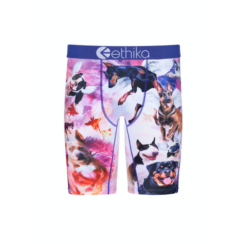 Ethika Men's Earned Boxer Briefs