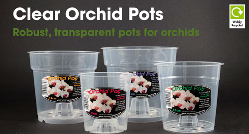 9cm Clear Orchid Pot