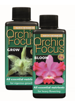 Orchid Focus Bloom 100ml