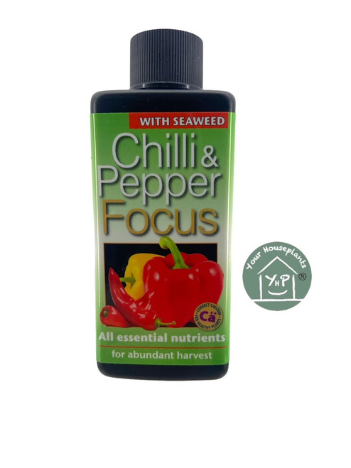 Chilli and Pepper Focus 100ml