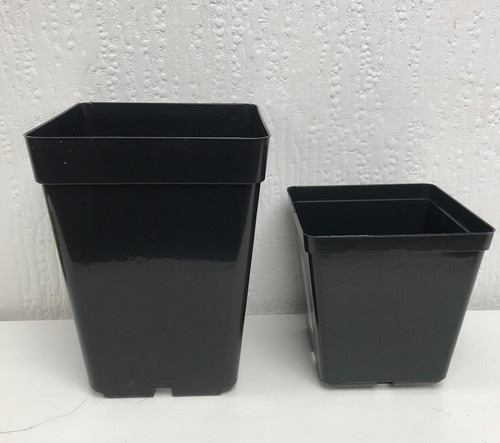 13cm Square Black Plastic Pot