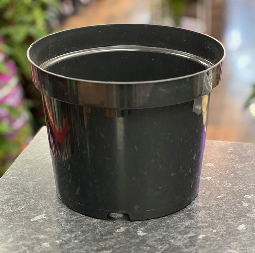 Black Pot 10 Litre