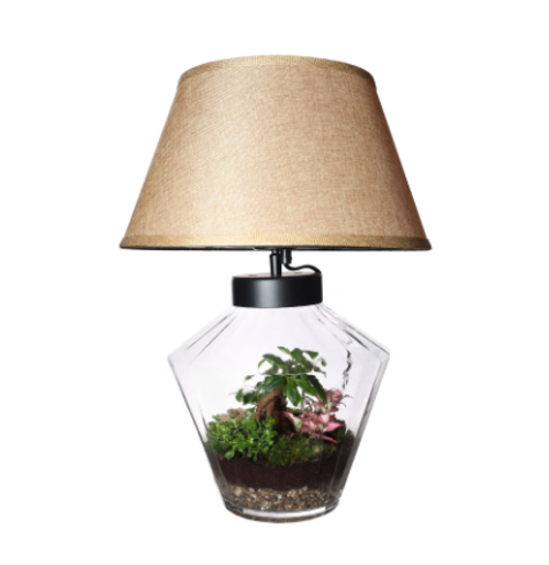 Houseplant Arrangement - Table Lamp