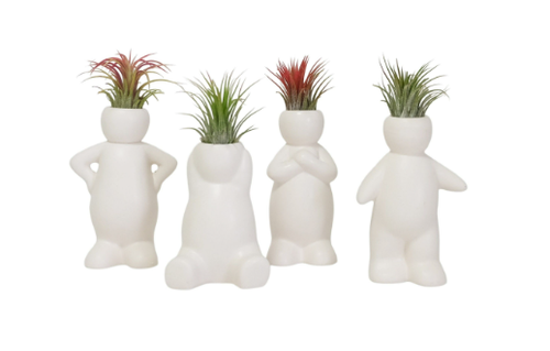 Tillandsia Figure People - 620209 Tillandsia Figure People - 620209