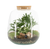 Houseplant Terrarium 23c - 90425