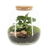 Houseplant Terrarium 19c - 90424