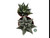 Haworthia Mix 8.5c