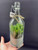 Crassula In Valencia Glass Bottle