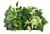 Foliage Trailing Mix 10.5cm