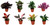 Green Mix 9cm - 1
