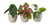 Exclusive Foliage Mix In Ceramic 6cm - L66066