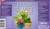 Houseplant Myst 300ml
