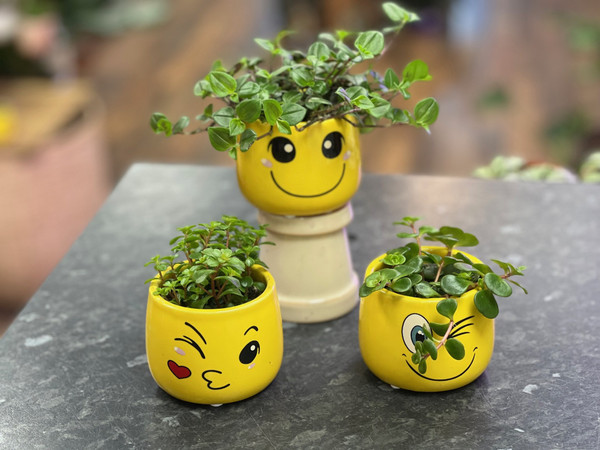 Mini Trailing Plants in Emoji Ceramic 6cm - E2968