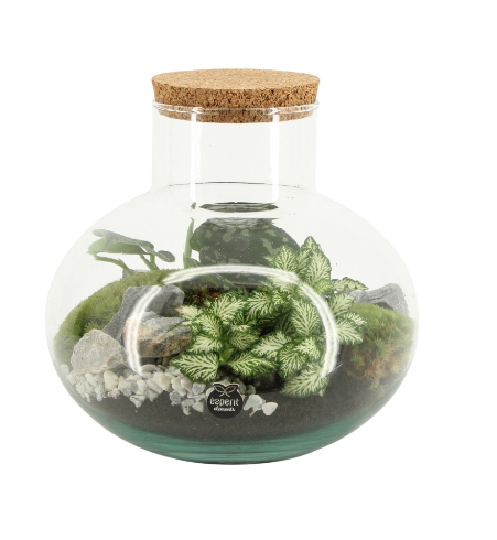 Houseplant Terrarium 23cm - 90706